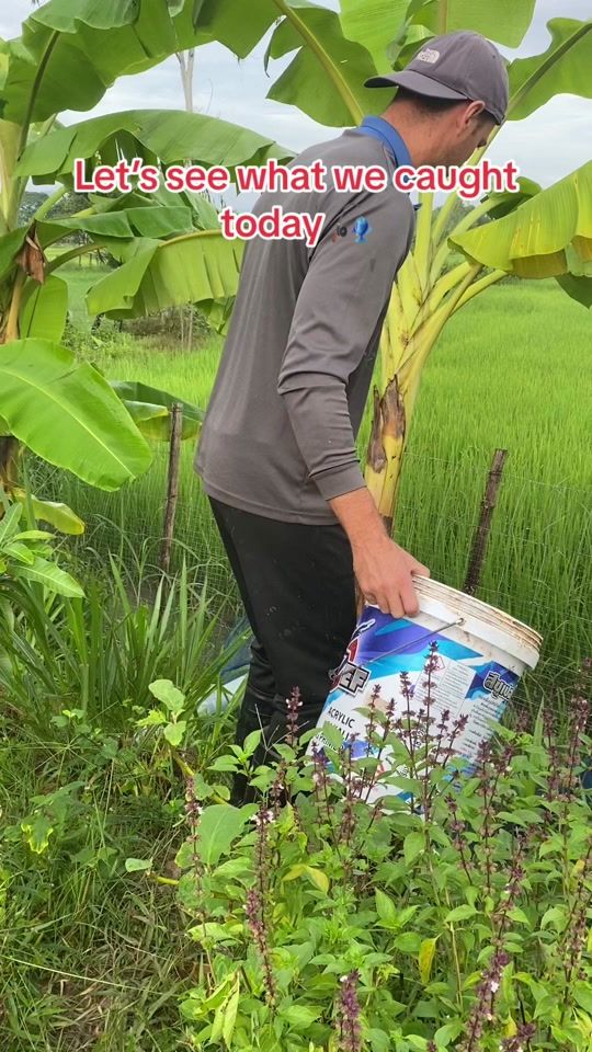 TikTok video thumbnail by hungryinthailand.com