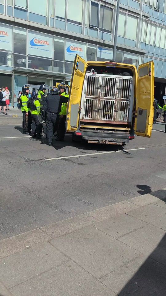 TikTok video thumbnail by scousespotter