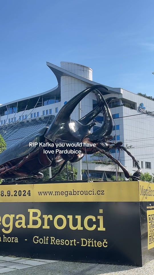 TikTok video thumbnail by ichbinichigour