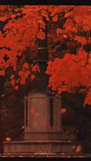 TikTok video thumbnail by cclapusso