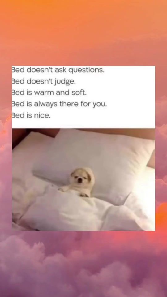 TikTok video thumbnail by studybuddyai