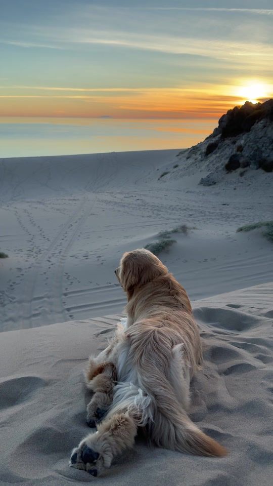 TikTok video thumbnail by luisreyesg9