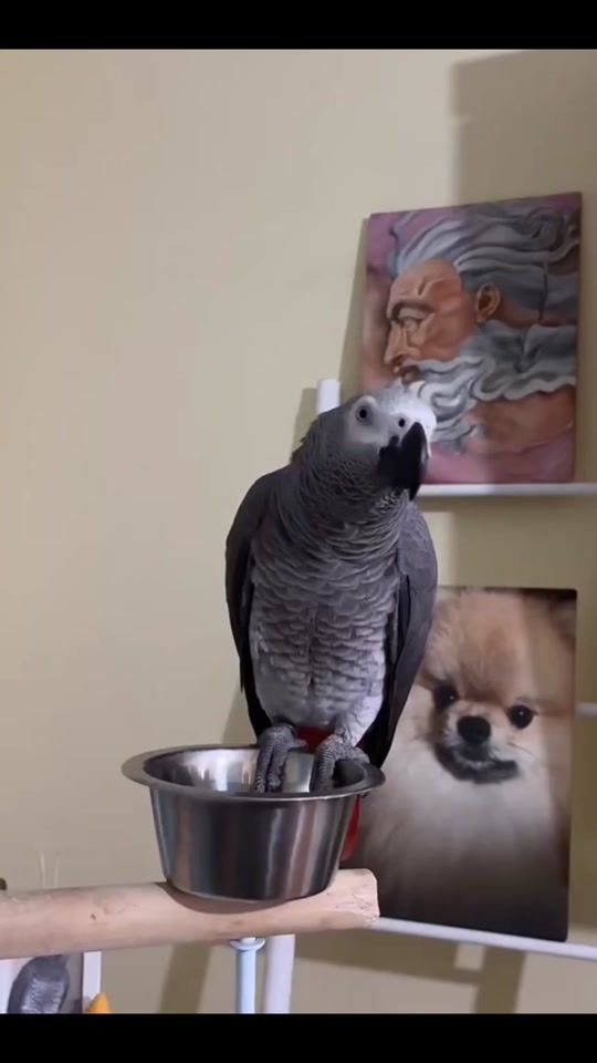 TikTok video thumbnail by aaron.4lea