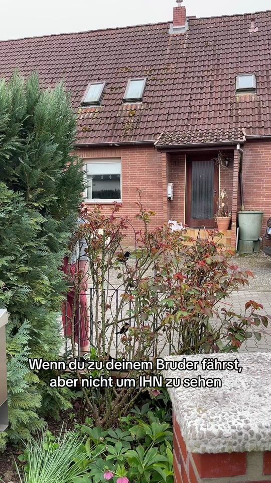 TikTok video thumbnail by dianadettmer_