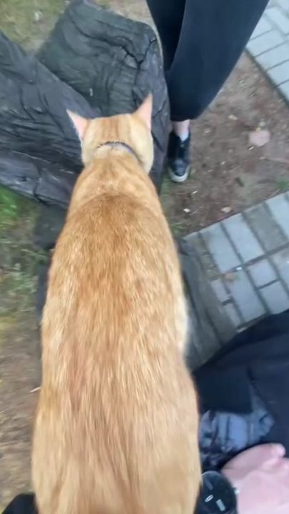 TikTok video thumbnail by dubinkaaa0