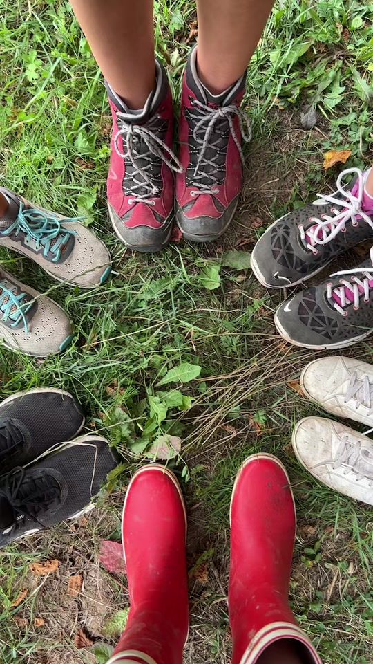 TikTok video thumbnail by thesummerhouseproject23