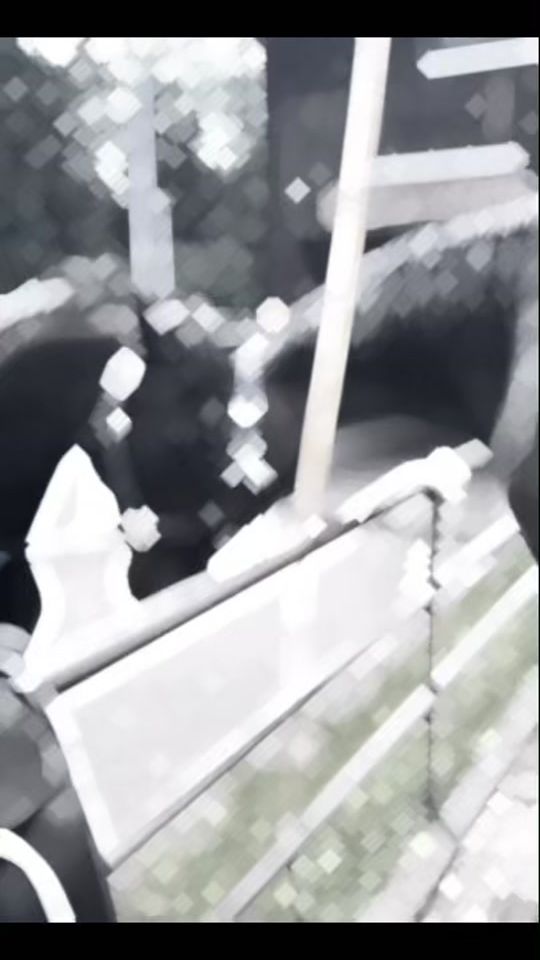 TikTok video thumbnail by meyerviolaa