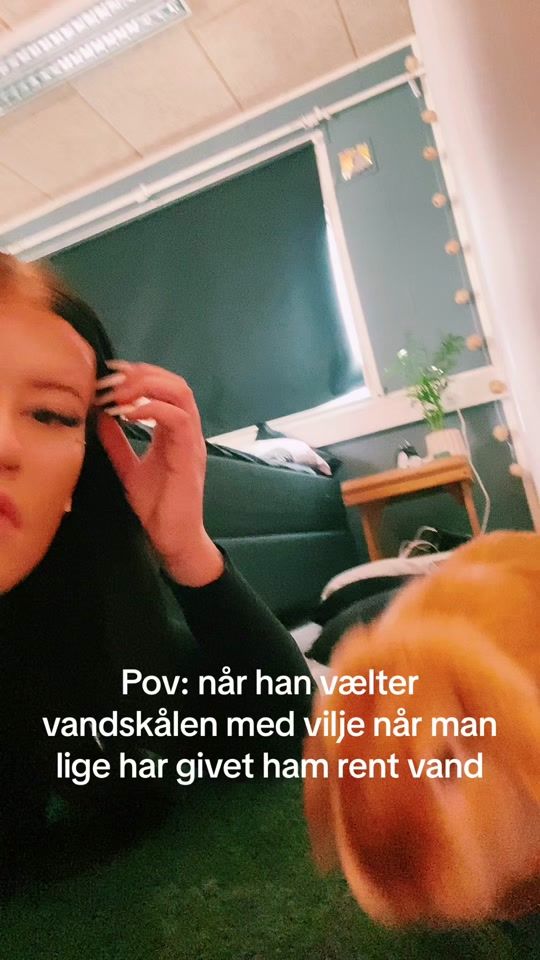 TikTok video thumbnail by ibenmerle2