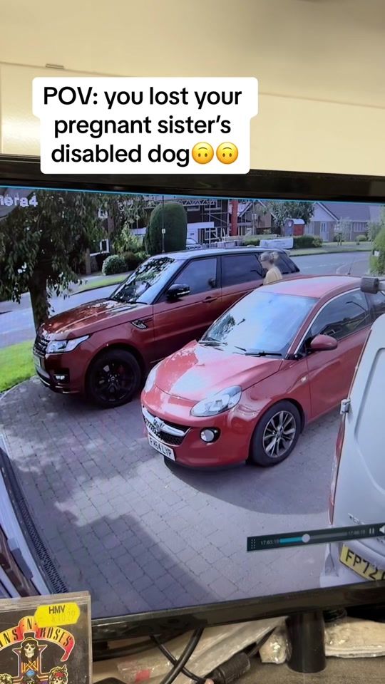 TikTok video thumbnail by georgiashayes