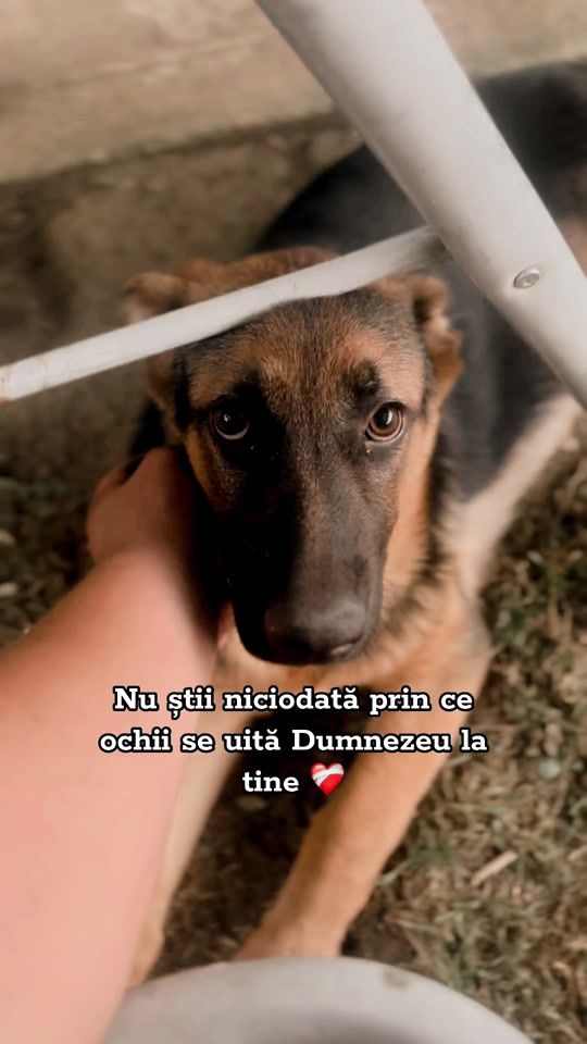 TikTok video thumbnail by remuszaldoiu