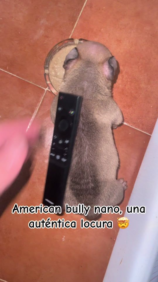 TikTok video thumbnail by mangasbully