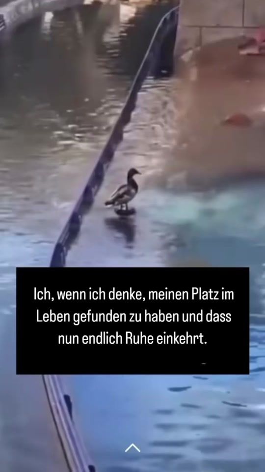 TikTok video thumbnail by biancaa2403