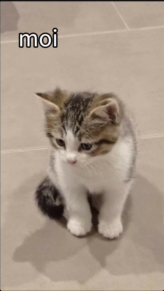 TikTok video thumbnail by juljuljul967