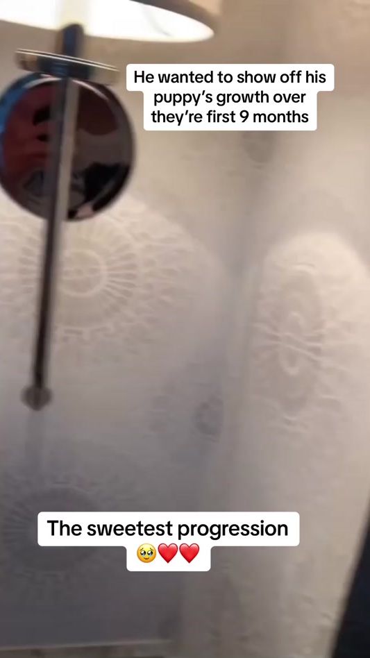 TikTok video thumbnail by moximoments