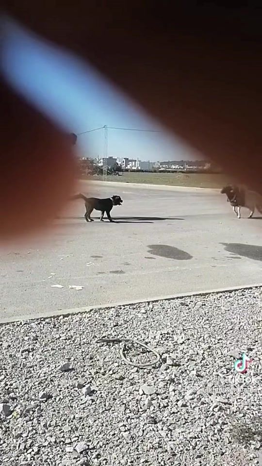 TikTok video thumbnail by josembg53