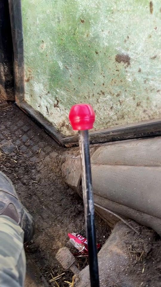 TikTok video thumbnail by welshboarderfarming