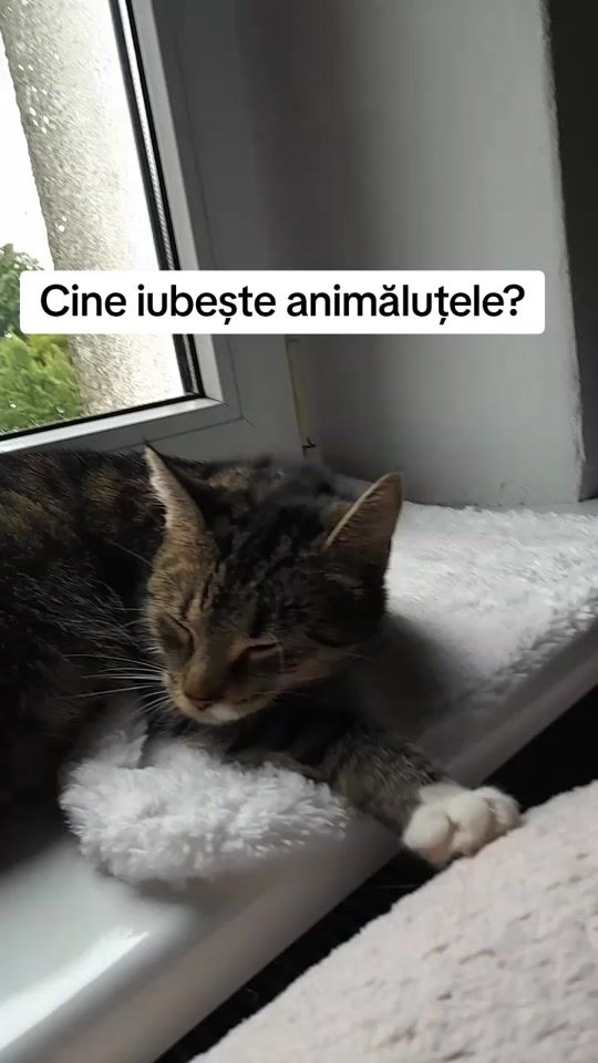 TikTok video thumbnail by oxxtiro