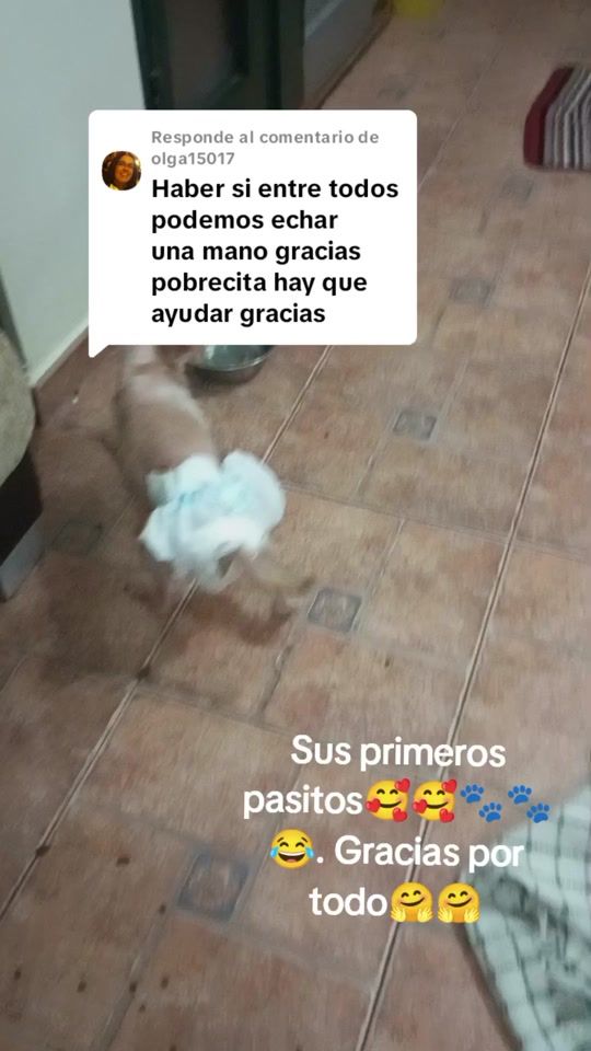 TikTok video thumbnail by anabelenmm7