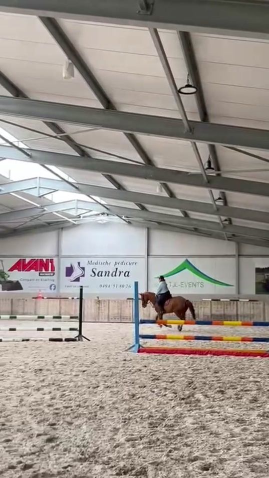 TikTok video thumbnail by equi.cara