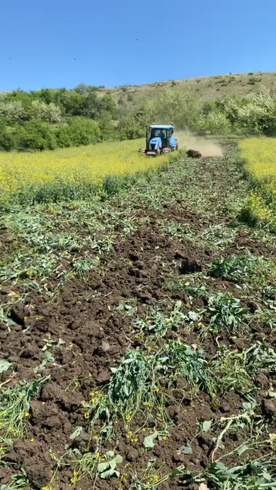 TikTok video thumbnail by cosmingherman01