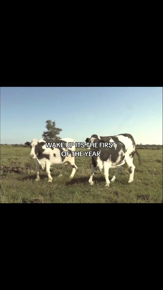 TikTok video thumbnail by kpop_editzzq