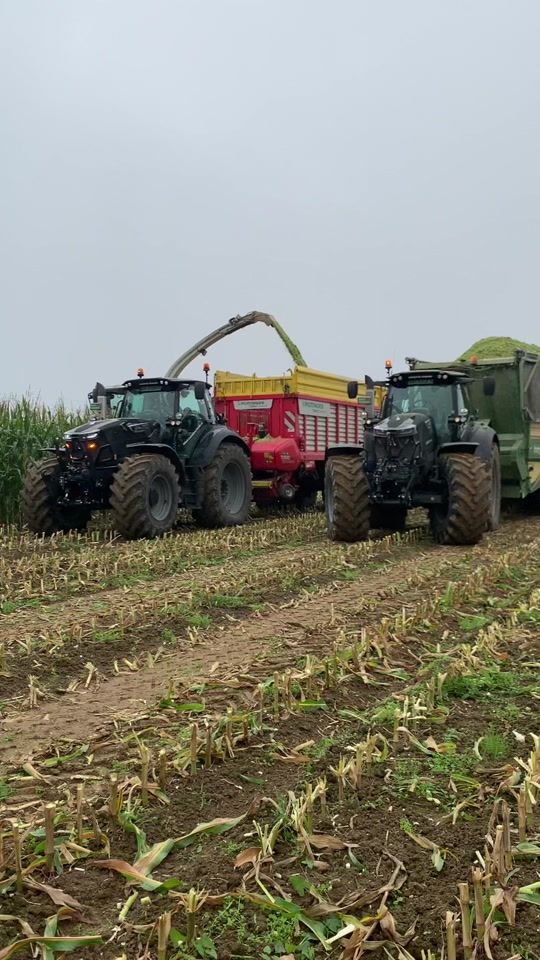 TikTok video thumbnail by steyr6230.ihc