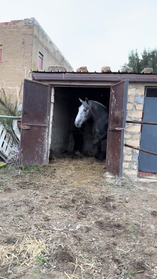 TikTok video thumbnail by lorenzo1896