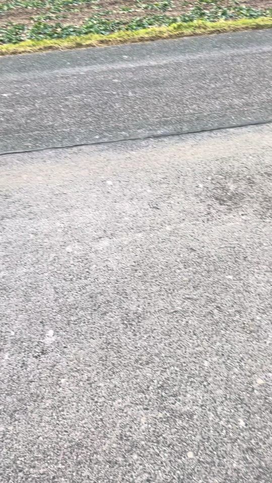 TikTok video thumbnail by oskar.gne