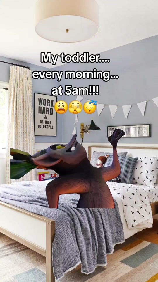 TikTok video thumbnail by stephroberts1989