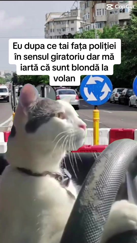 TikTok video thumbnail by anauebersohn