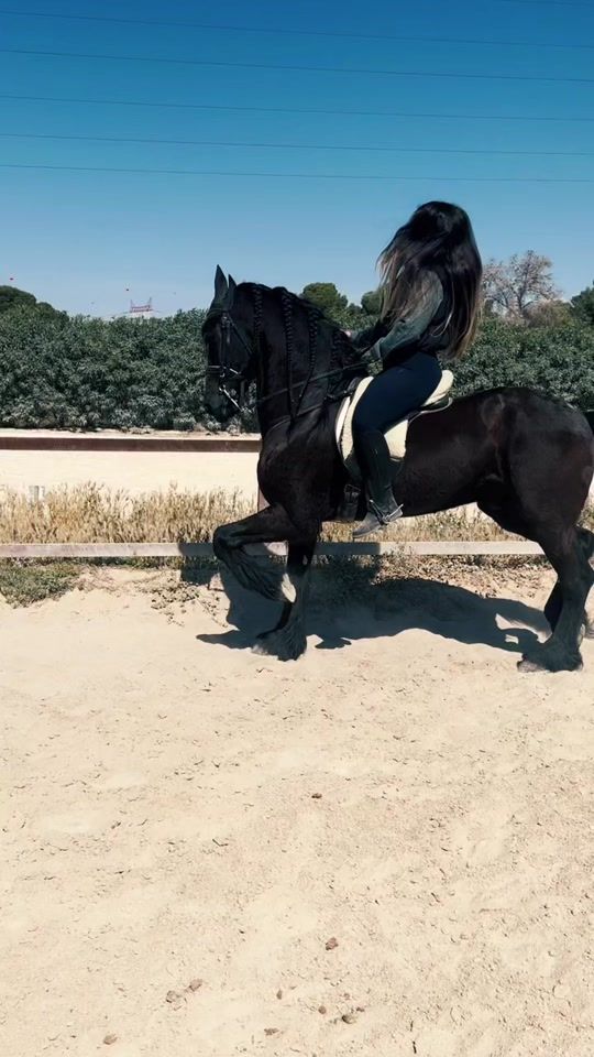 TikTok video thumbnail by andauga