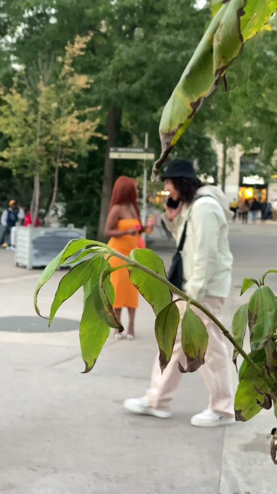 TikTok video thumbnail by samuella_agency