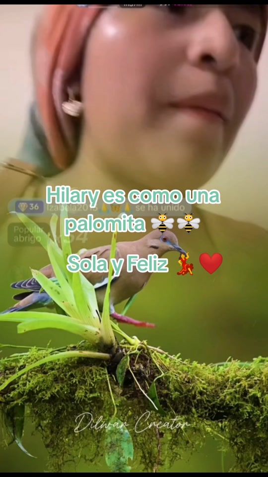 TikTok video thumbnail by clary.ao80