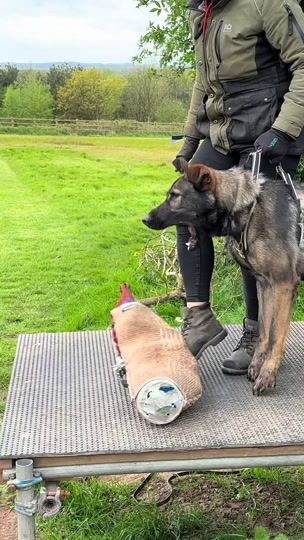 TikTok video thumbnail by vonbekkasgsd