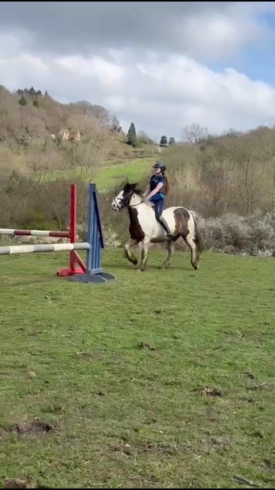 TikTok video thumbnail by darcysjumping