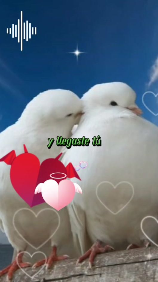 TikTok video thumbnail by mercedescastro553