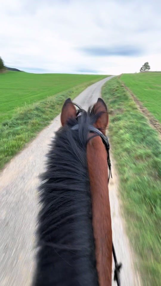 TikTok video thumbnail by simlingerhof.com