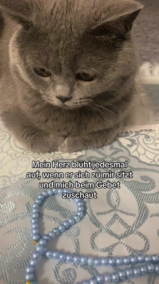 TikTok video thumbnail by mohaxhz