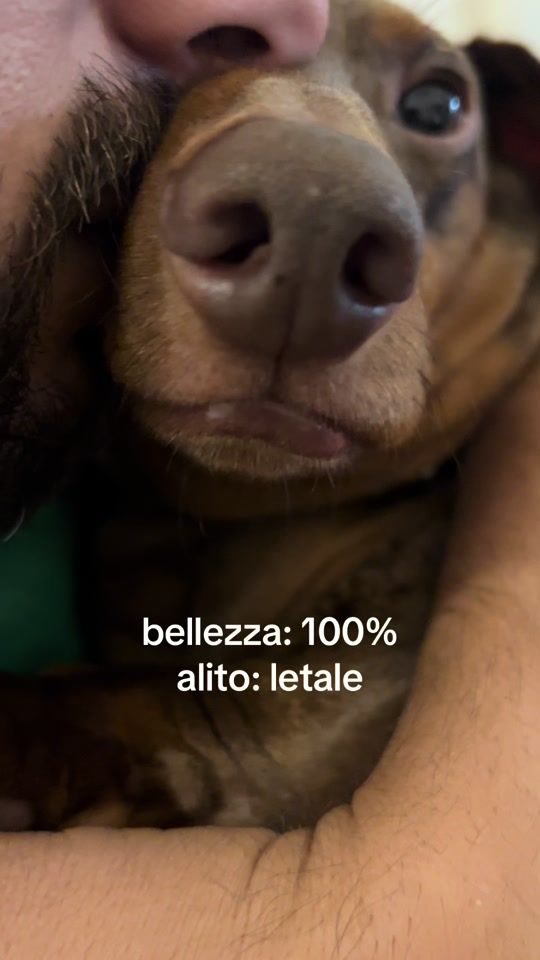 TikTok video thumbnail by pergliamicinello