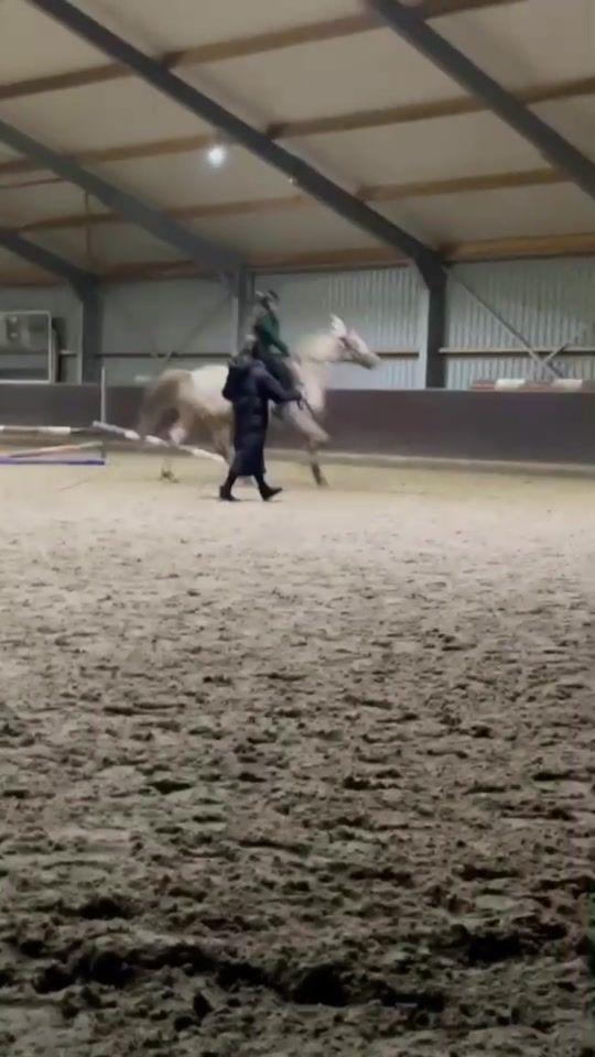 TikTok video thumbnail by .holzikstables