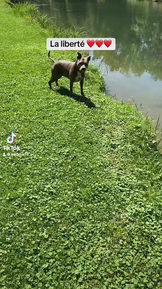 TikTok video thumbnail by andgie16