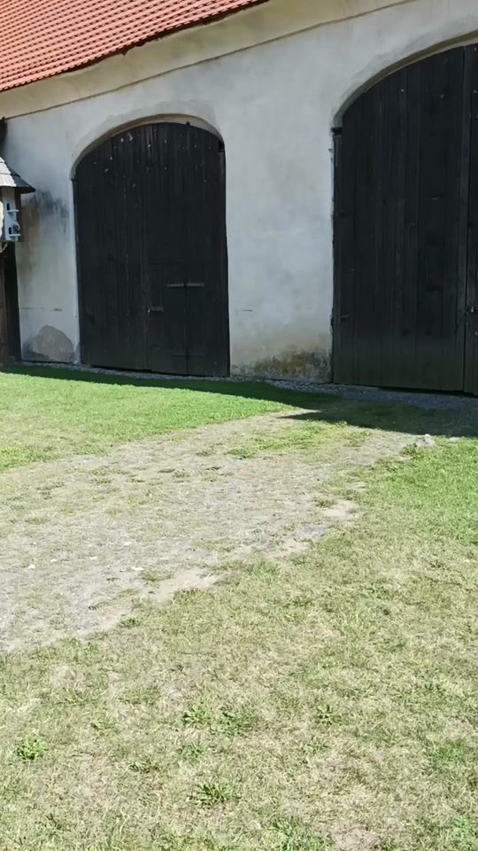 TikTok video thumbnail by pawcamelounek