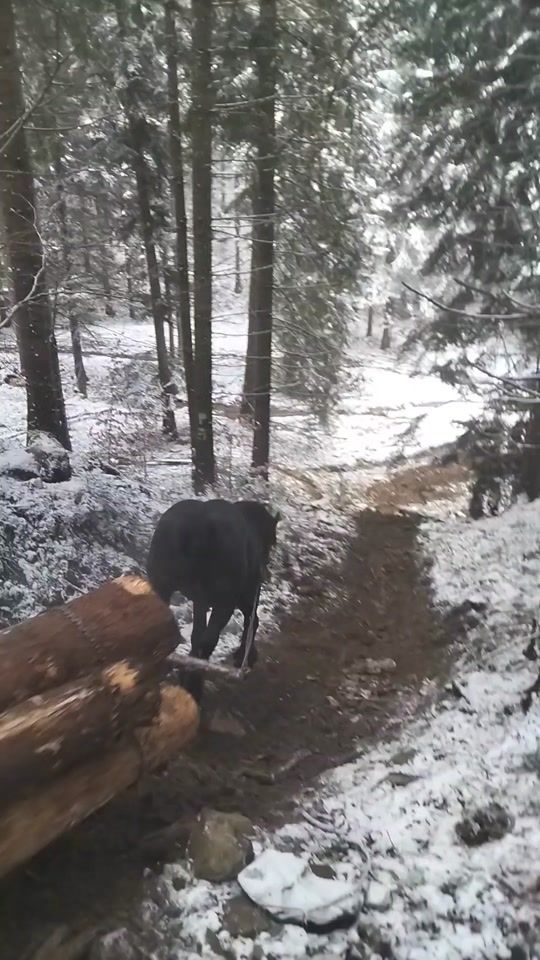 TikTok video thumbnail by tomiacvalentin3