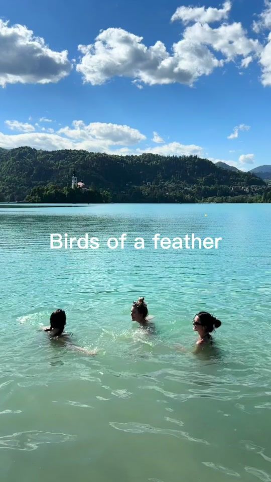 TikTok video thumbnail by 800vodkacranberries