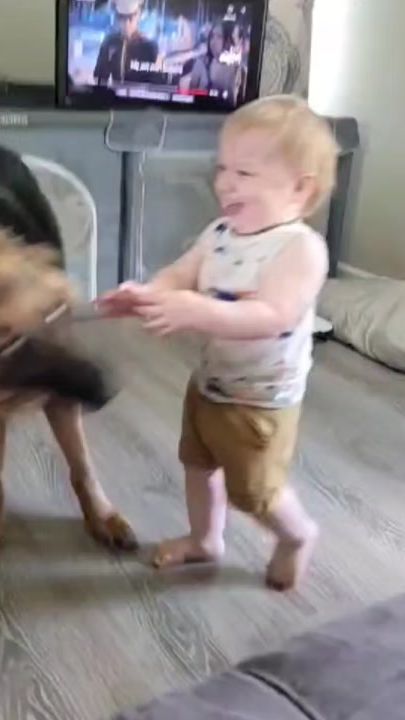 TikTok video thumbnail by loveanimalstv