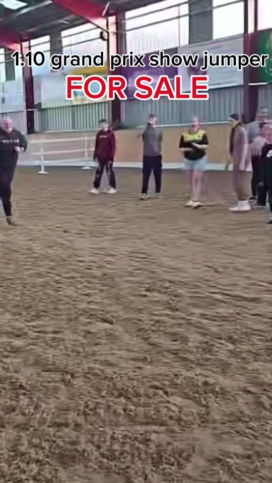 TikTok video thumbnail by sandy.that_chestnut