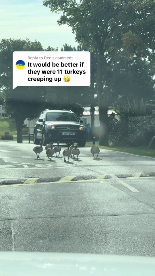 TikTok video thumbnail by kayinsane