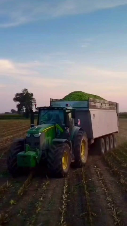 TikTok video thumbnail by amir.1615