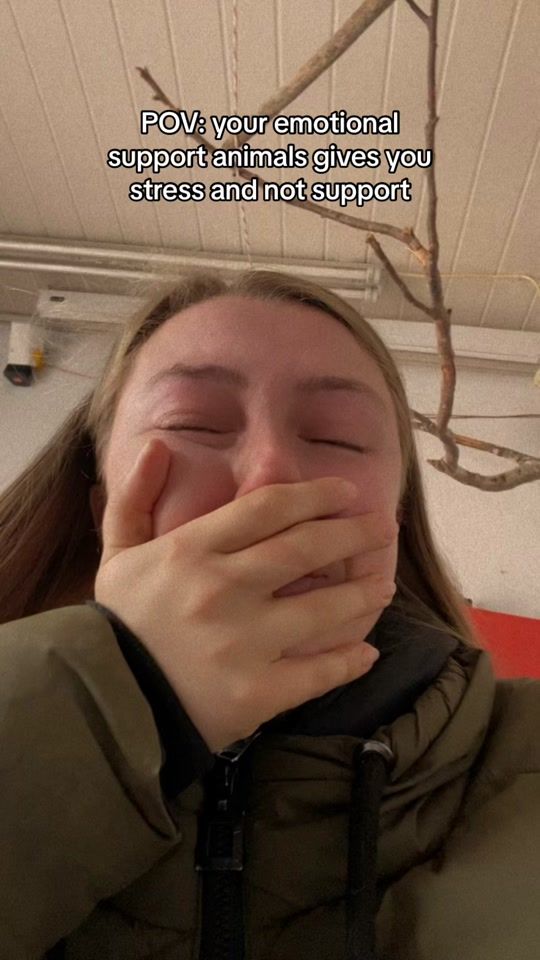 TikTok video thumbnail by horsey.passion