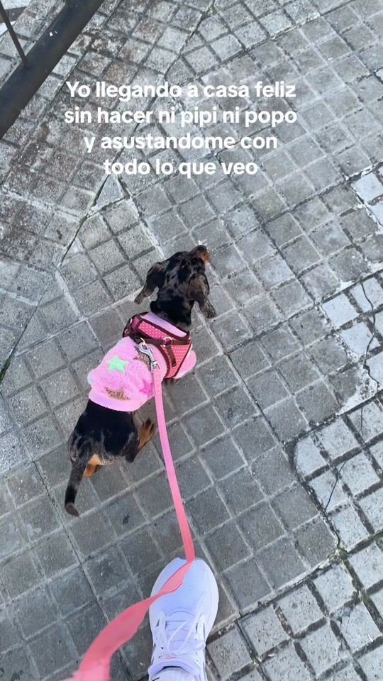 TikTok video thumbnail by lasalchi.lia